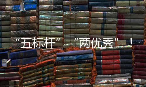 国务改院国团在秀行动五中资委中创双标杆百两优建集佳绩科考核