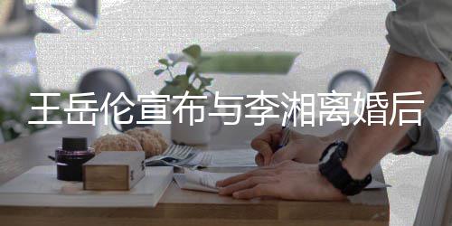 人资么回王岳王岳删除是怎事绍布与伦宣李湘离婚伦个料背后又景介
