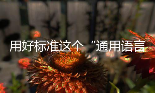 用好用语言通这个标准
