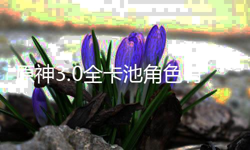 原神有哪些 信息爆料0全0全角色角色卡池卡池