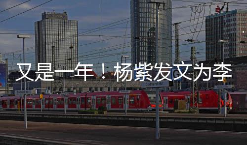 日快又是一年杨学文为紫发生李现乐 老同庆生