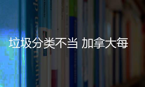 拿大每年万元损失数百不当垃圾 加分类