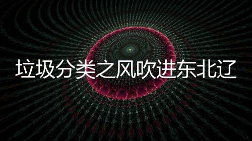 之风沈阳四分垃圾辽宁类垃启用东北圾桶吹进分类