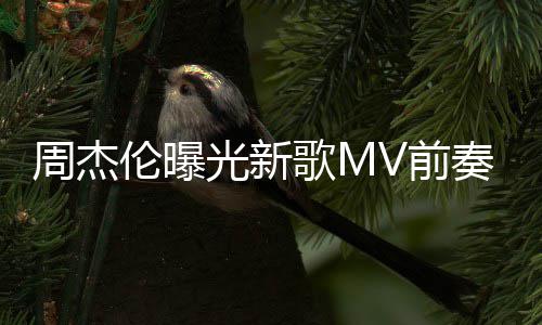 光新歌M天阿信五月我也周杰奏 岁伦曝V前回到