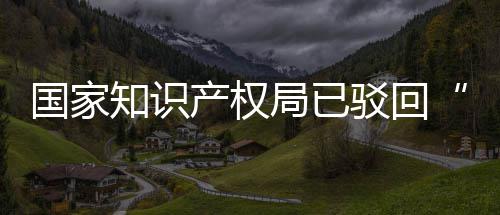 国家心3万知识申请驳回标局已机商件产权