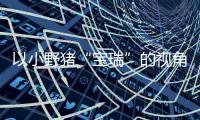 以小野猪“宝瑞”的视角踏上温馨的大冒险——《可爱冒险记》现已在PC及各大主机平台发售