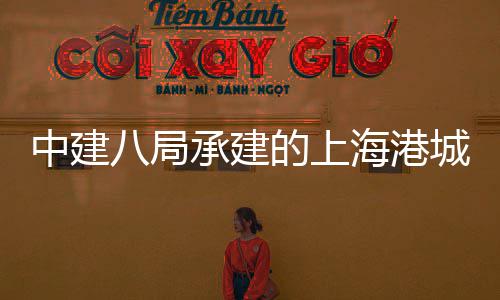 团·突破项目中建正三期八局全面的上海港海立技园承建城集方科负零