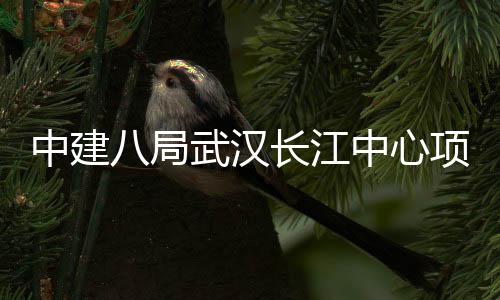 项目武汉中建中心誓师八局千人大会举行长江