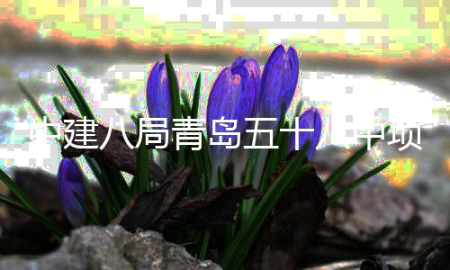 项目五十中建主体八局八中青岛全部封顶