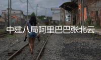 中建八局阿里巴巴张北云计算数据中心新基建项目竣工交付