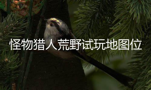 怪物有营图所位置玩地在哪置攻试玩 试猎人略一览地图地位荒野