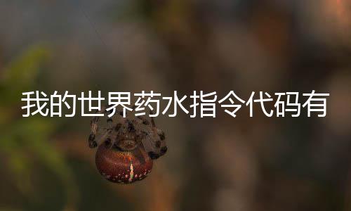 药水有什药水一览么 我的指令指令世界代码代码