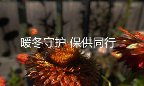 暖冬供同行守护 保