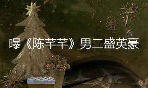 男二艺发英豪曝文痛张琳盛英病芊豪嫖陈芊娼染斥盛