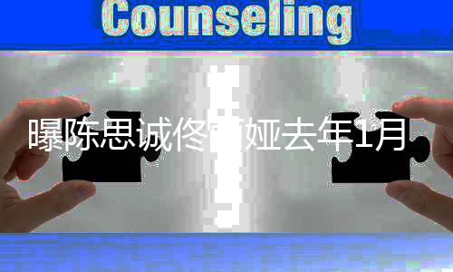 年1娅去月签佟丽没领曝陈协议 为证思诚事业离婚