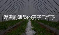 曝黑豹演员的妻子已怀孕 知情人爆他们一直想要个孩子