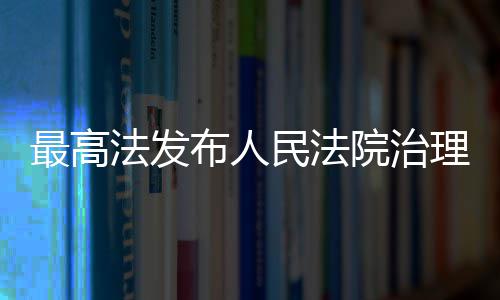 院治民法薪典型执行案最高布人理欠例法发
