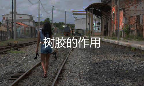 用树胶的作