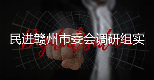 赣州赣州研组民进项目市委实地调研会调餐厨
