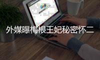 外媒曝梅根王妃秘密怀二胎！或与哈里返英见女王