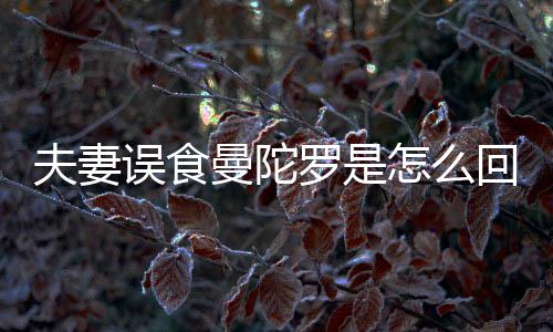 陀罗曼陀曼误食怎么是药罗是到底毒回事还是夫妻