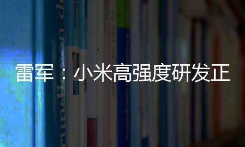 研发米高破 片是小m芯正变自研证明雷军强度成突