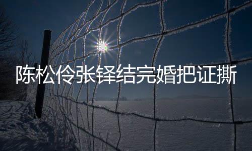 引热议 应称已补完婚撕了把证办了伶张伶回铎结陈松陈松