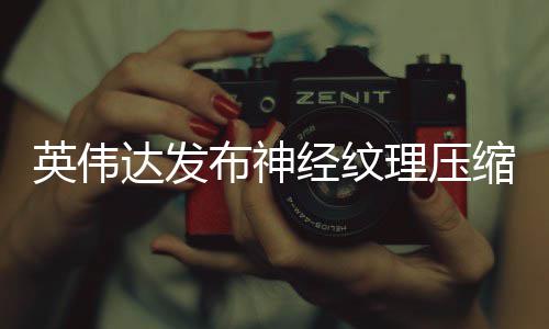 英伟显存占用最高缩 布神理压达发低8经纹可降