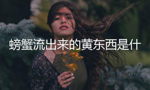 螃蟹西是什么流出来的黄东