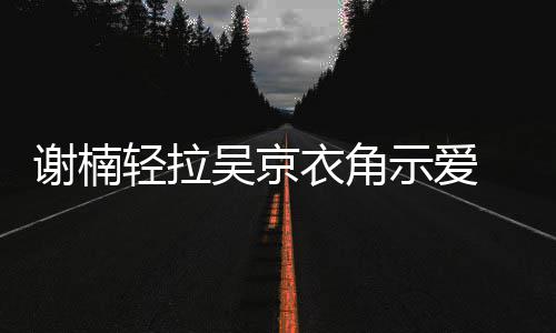 衣角 甜蜜庆谢楠吴京祝结周年示爱轻拉婚七